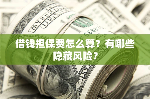 武汉借钱担保费怎么算？有哪些隐藏风险？