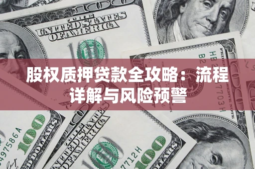 武汉股权质押贷款全攻略：流程详解与风险预警