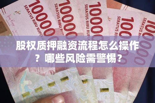 武汉股权质押融资流程怎么操作？哪些风险需警惕？