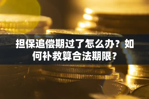 武汉担保追偿期过了怎么办？如何补救算合法期限？